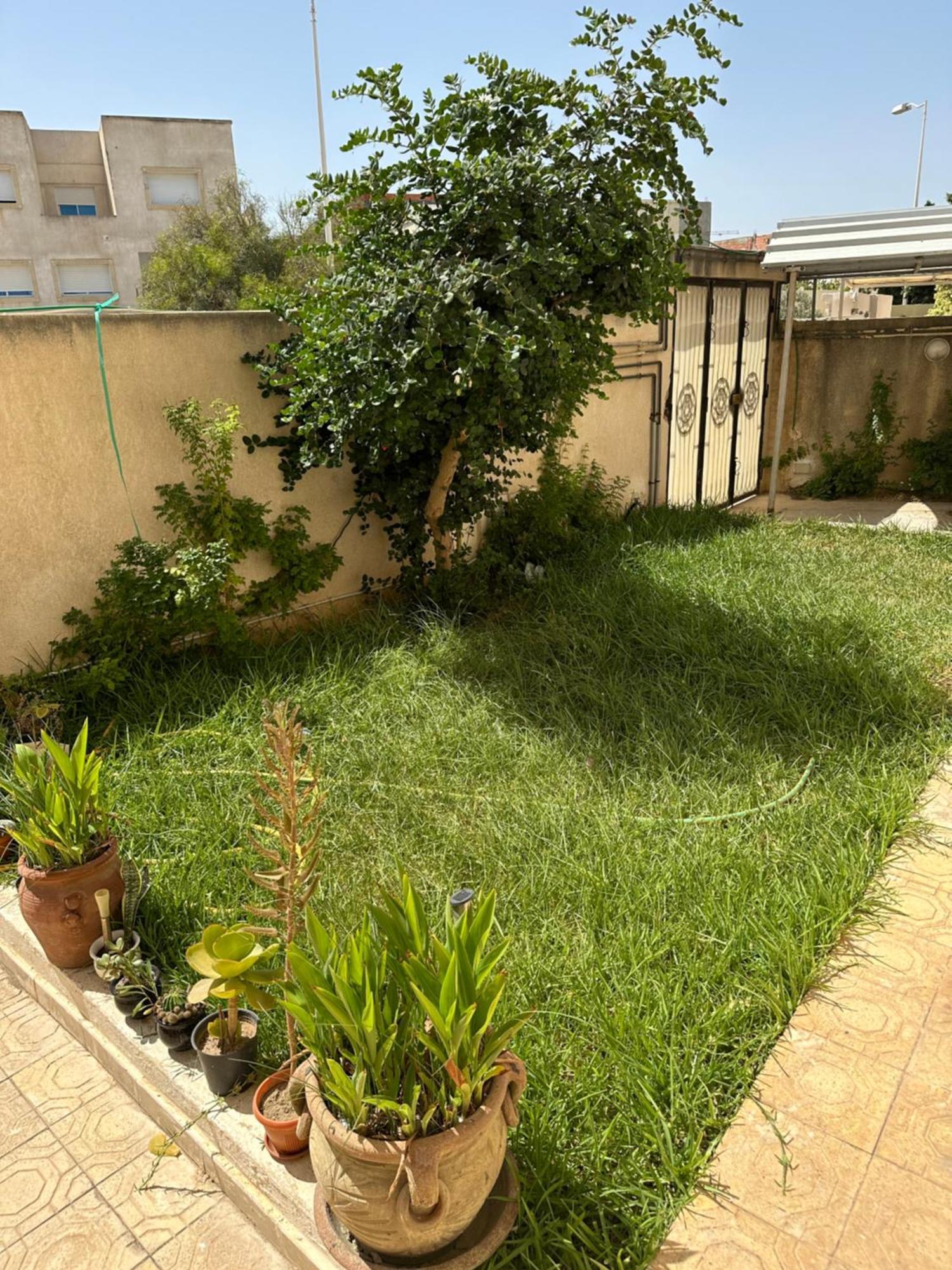 Garden House Jardin De Carthage Apartment Sidi Daoud Exterior foto